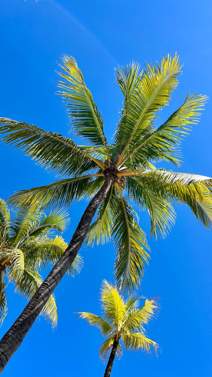 Discover Florida’s Hidden Gems: Beyond Tourist&nbsp;Traps